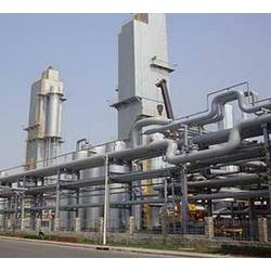 甘肅廠家直銷 批發供應，網絡營銷新篇章